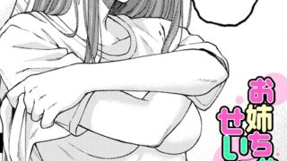 【FANZAブックス紹介】 お姉ちゃんのせいだから（単話）