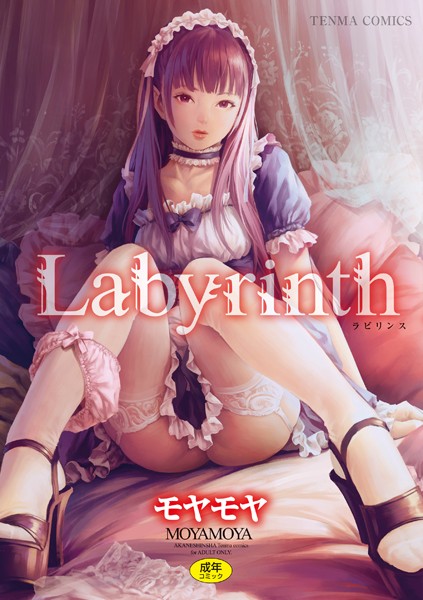 【FANZAブックス紹介】 Labyrinth【FANZA限定特典付き】