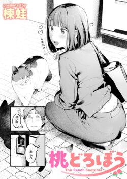 【FANZAブックス紹介】 桃どろぼう（単話）